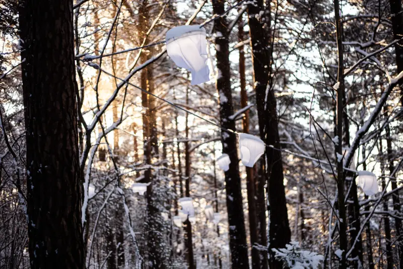 Nordic Hip Lights